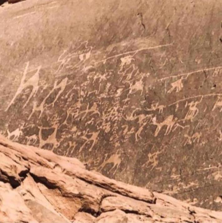 Star Magic Camp Hotel Wadi Rum Bagian luar foto