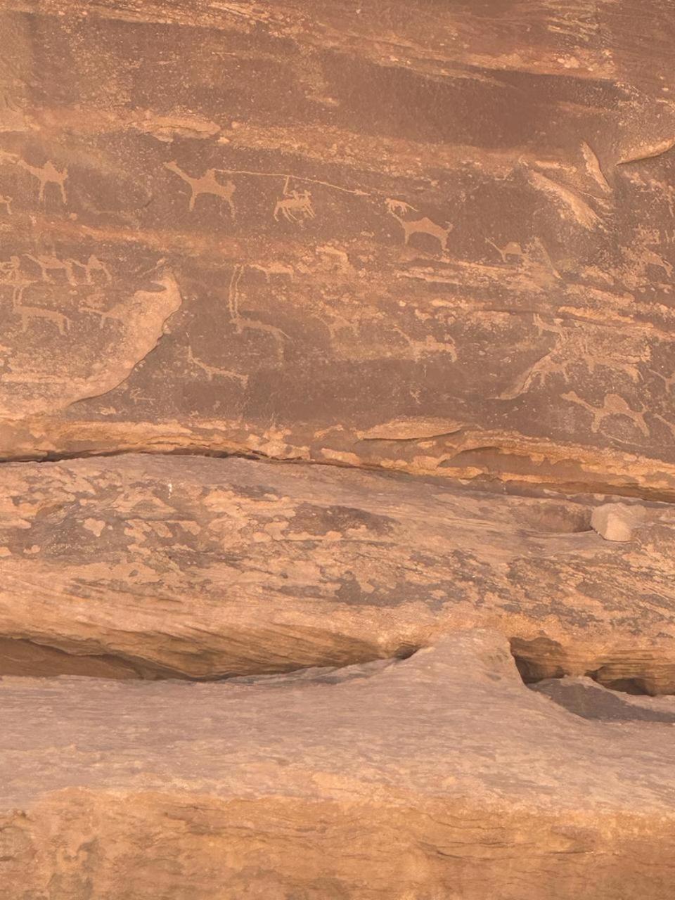 Star Magic Camp Hotel Wadi Rum Bagian luar foto
